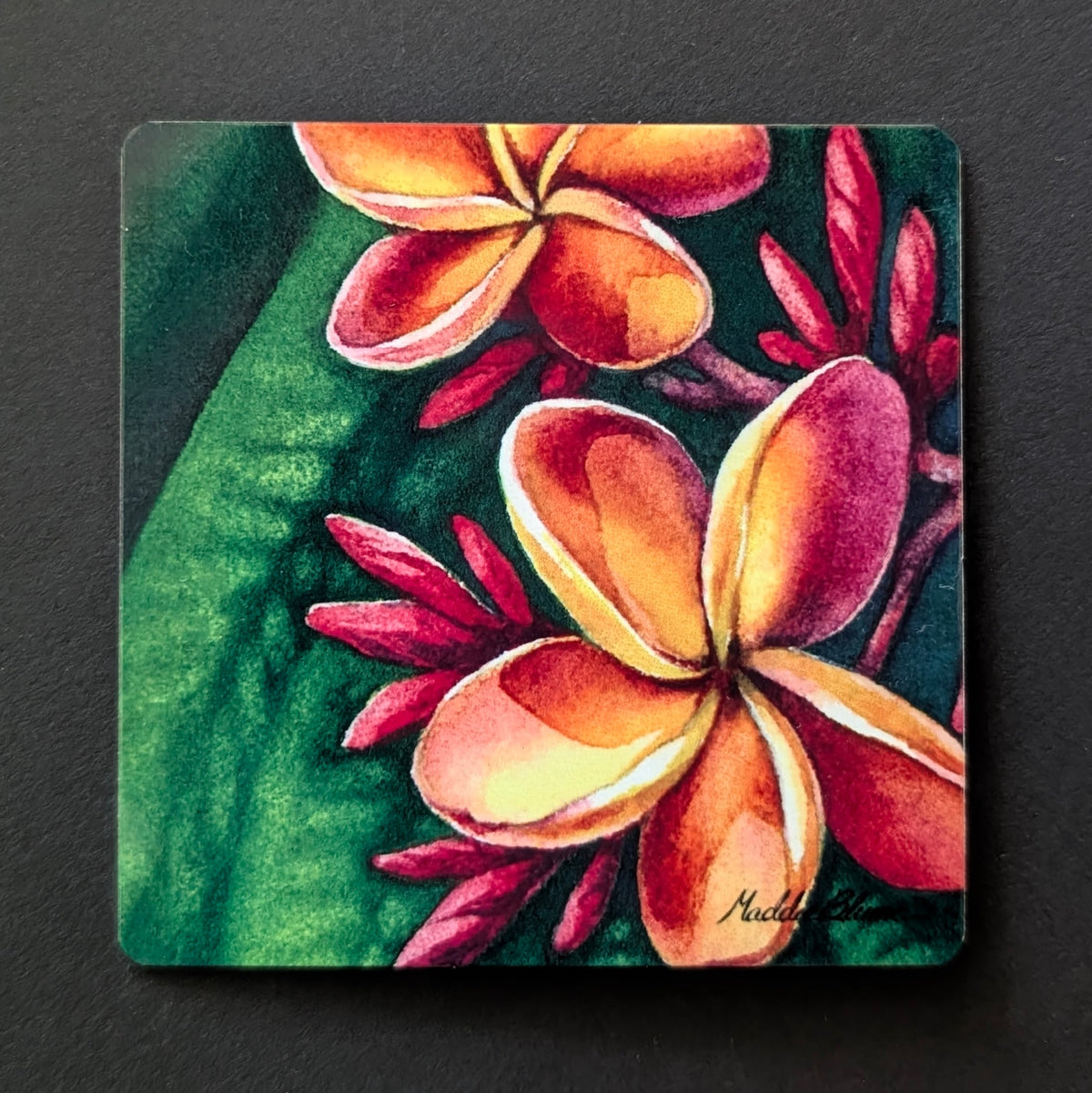 "Hawaiian Plumerias" Magnet
