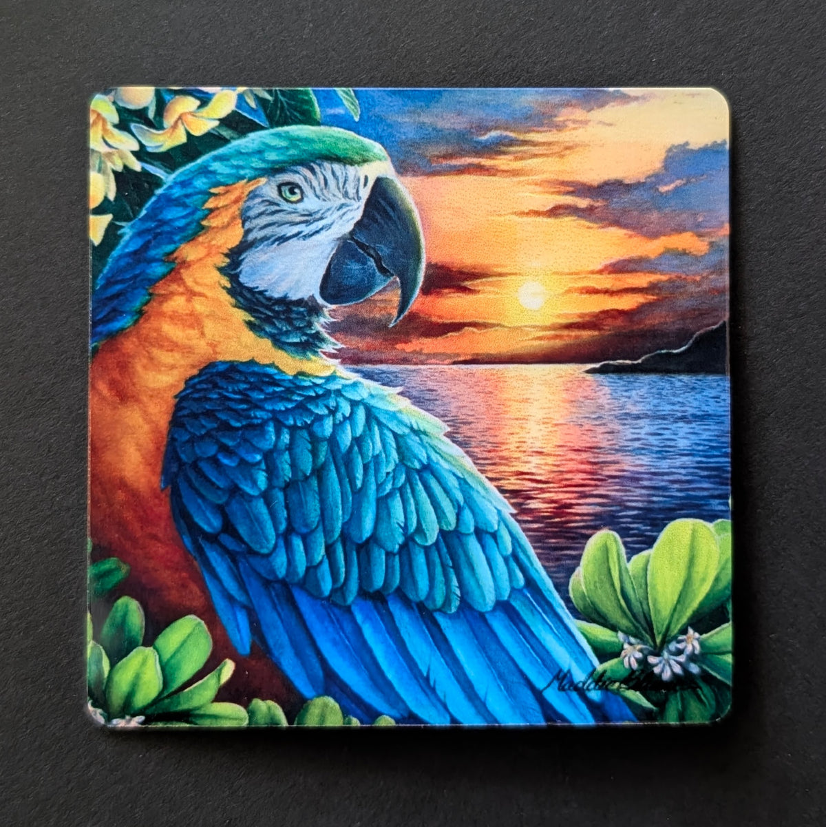 "Sunset Macaw" Magnet