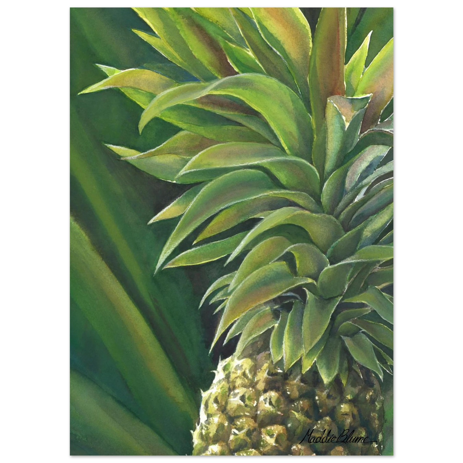 0252beb5-7238-49ee-8e54-ab5398a5c41c