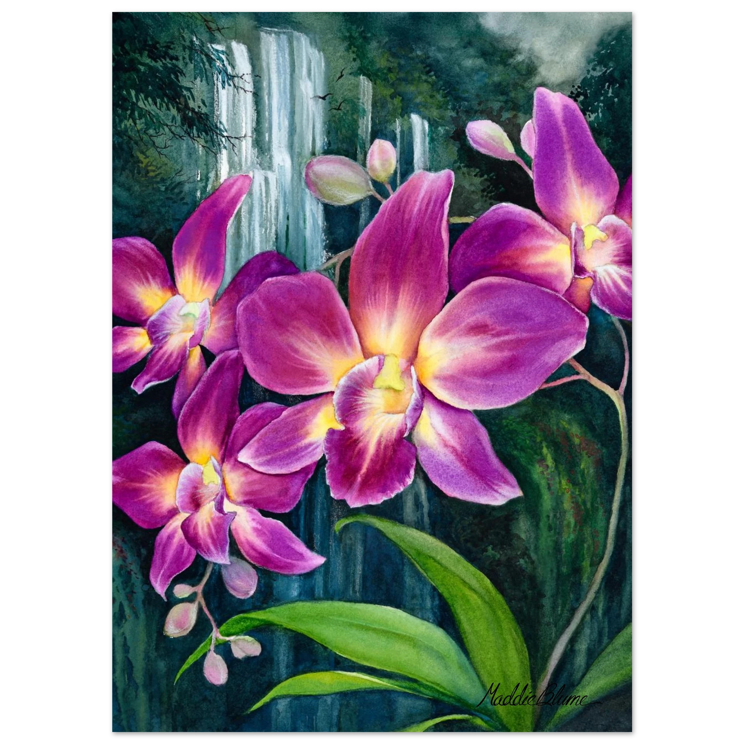 31af65cc-2a0d-4878-abee-ce0e0c6a7ae1