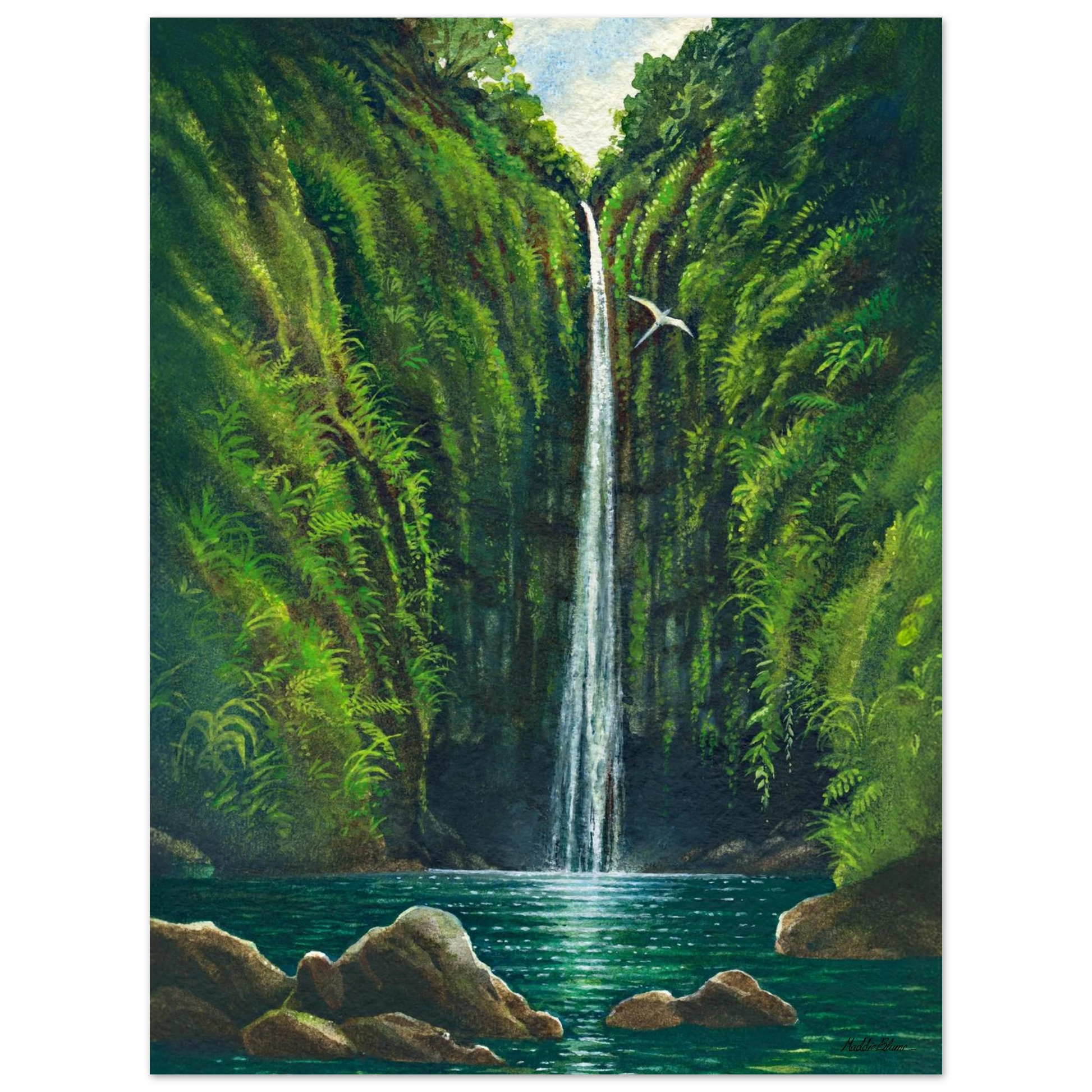 38c0fef2-898c-488a-855a-193c864eb6f9