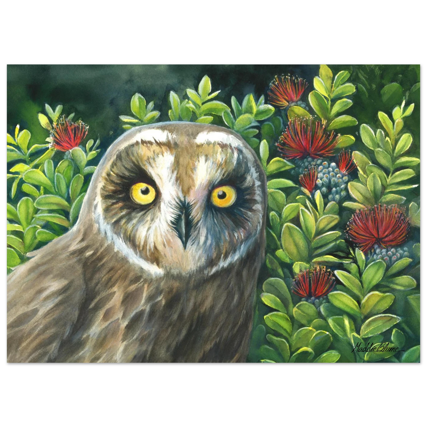 4c2cd6be-7e45-42ff-8402-7b7a7c76300d