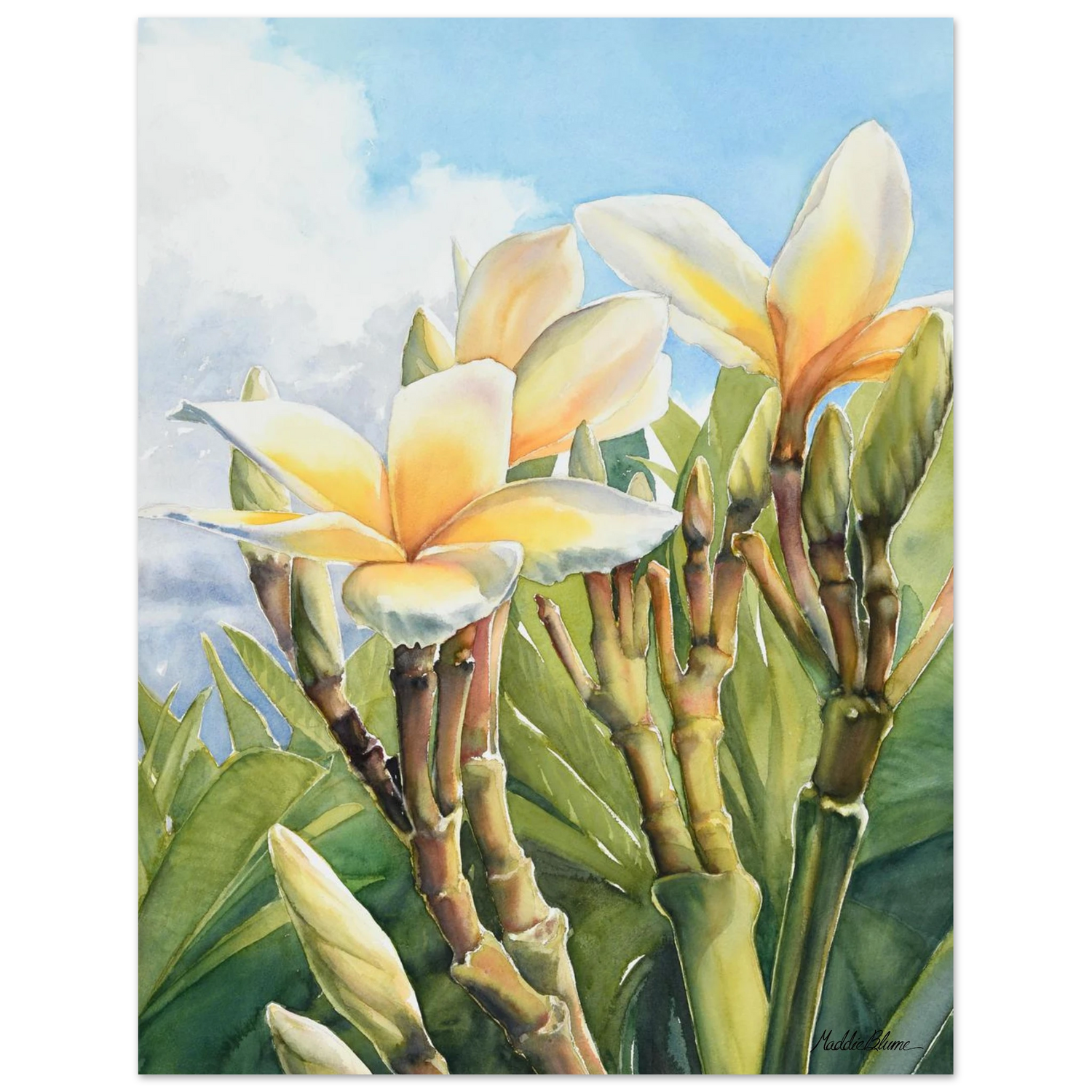 6523d685-8899-4dd7-a10c-deebbbc47f19