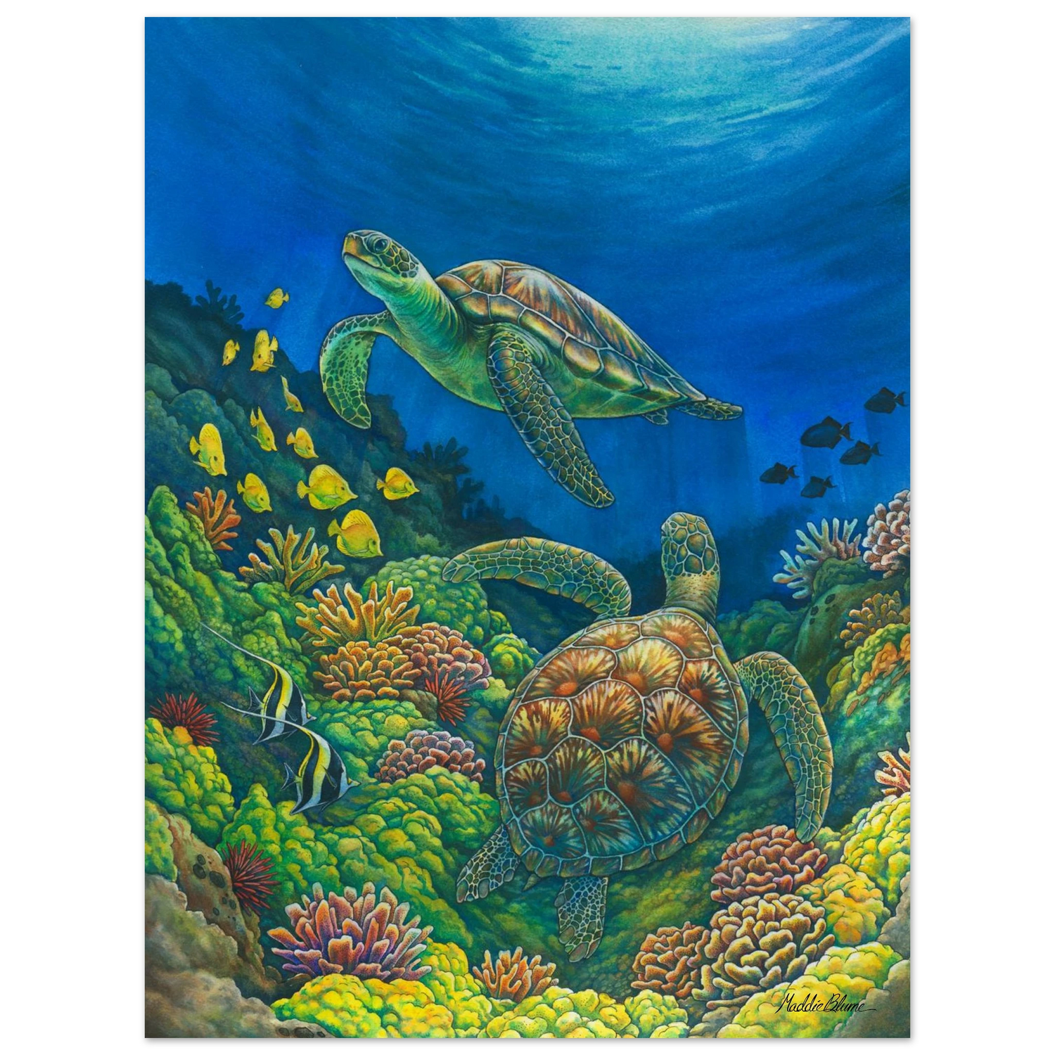 99dec7d5-0748-4104-8927-bffa31262063