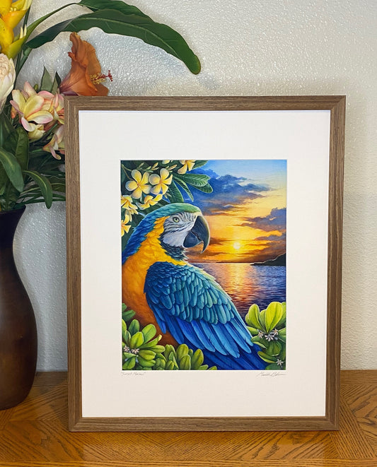 "Sunset Macaw" Matted Giclee Fine Art Print