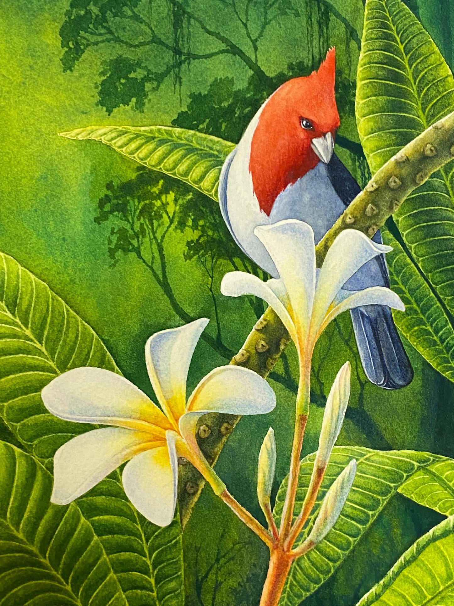 "Tropical Love" Original Watercolor