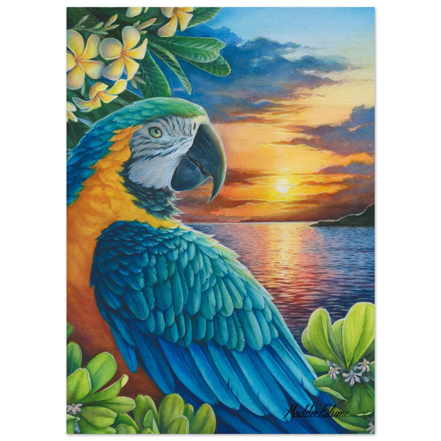 acd37529-8d04-437c-b69c-e0727a3da69c