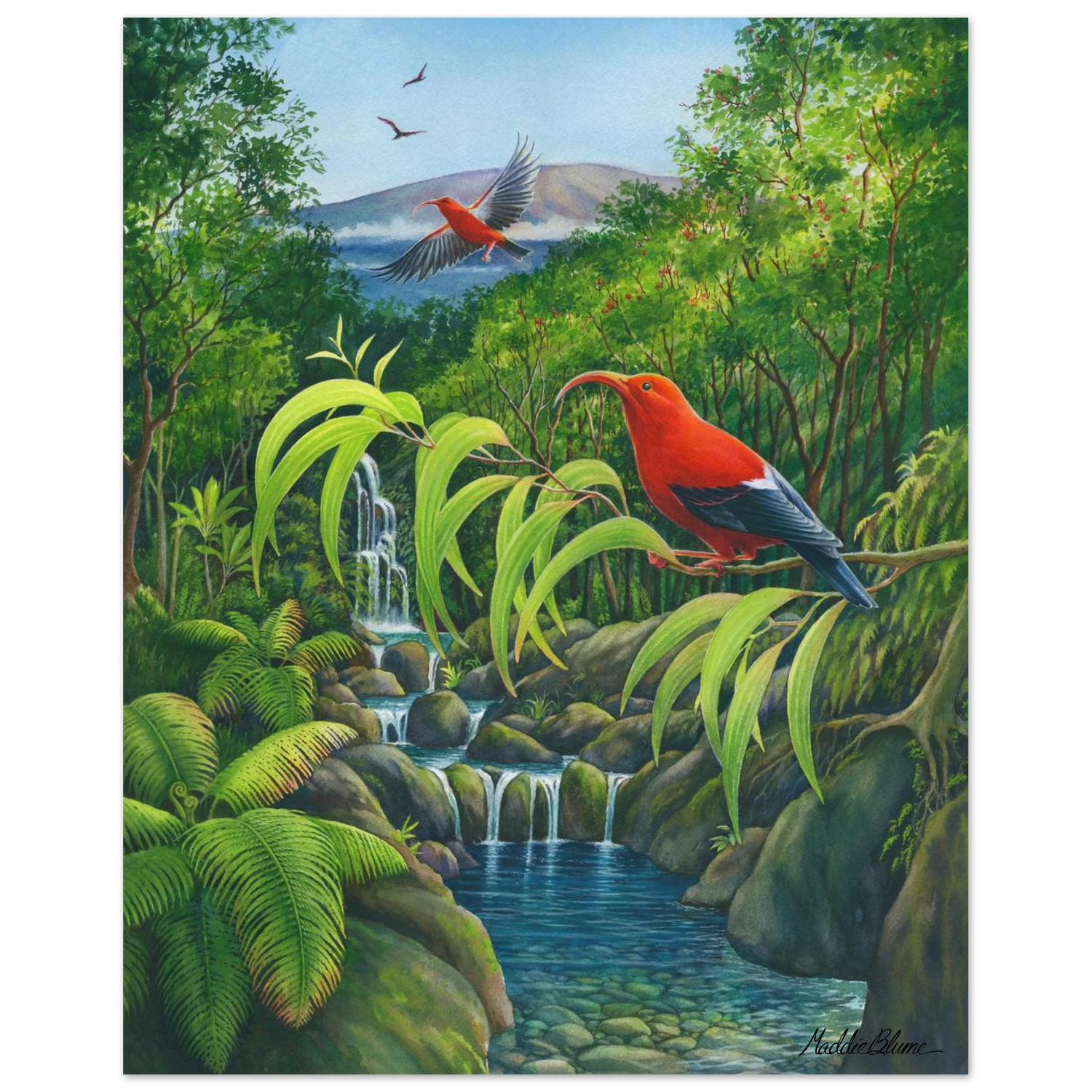 e01d868c-8c01-44d0-9853-e01ef5000065