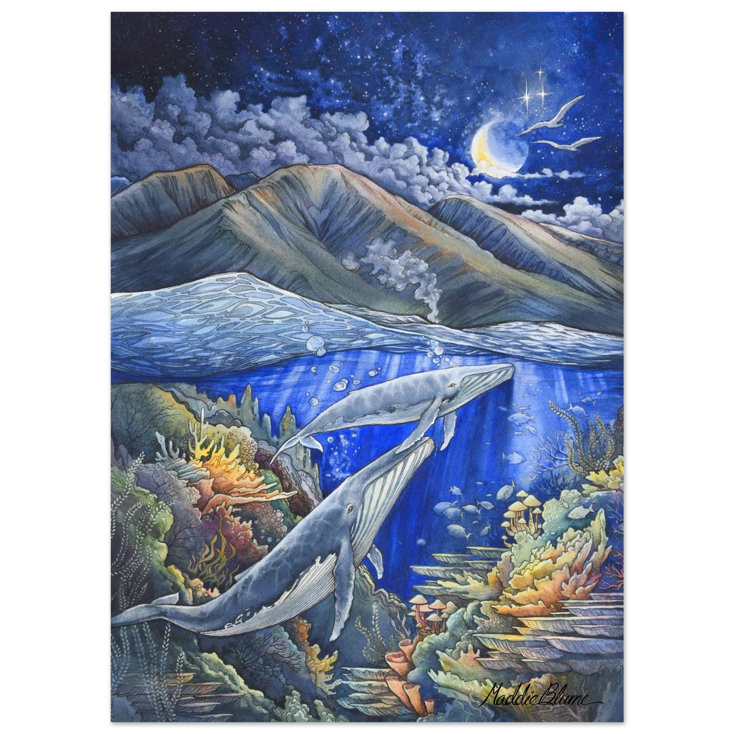 fbe6f5ae-9baf-4e6f-9add-deeefc821bdd