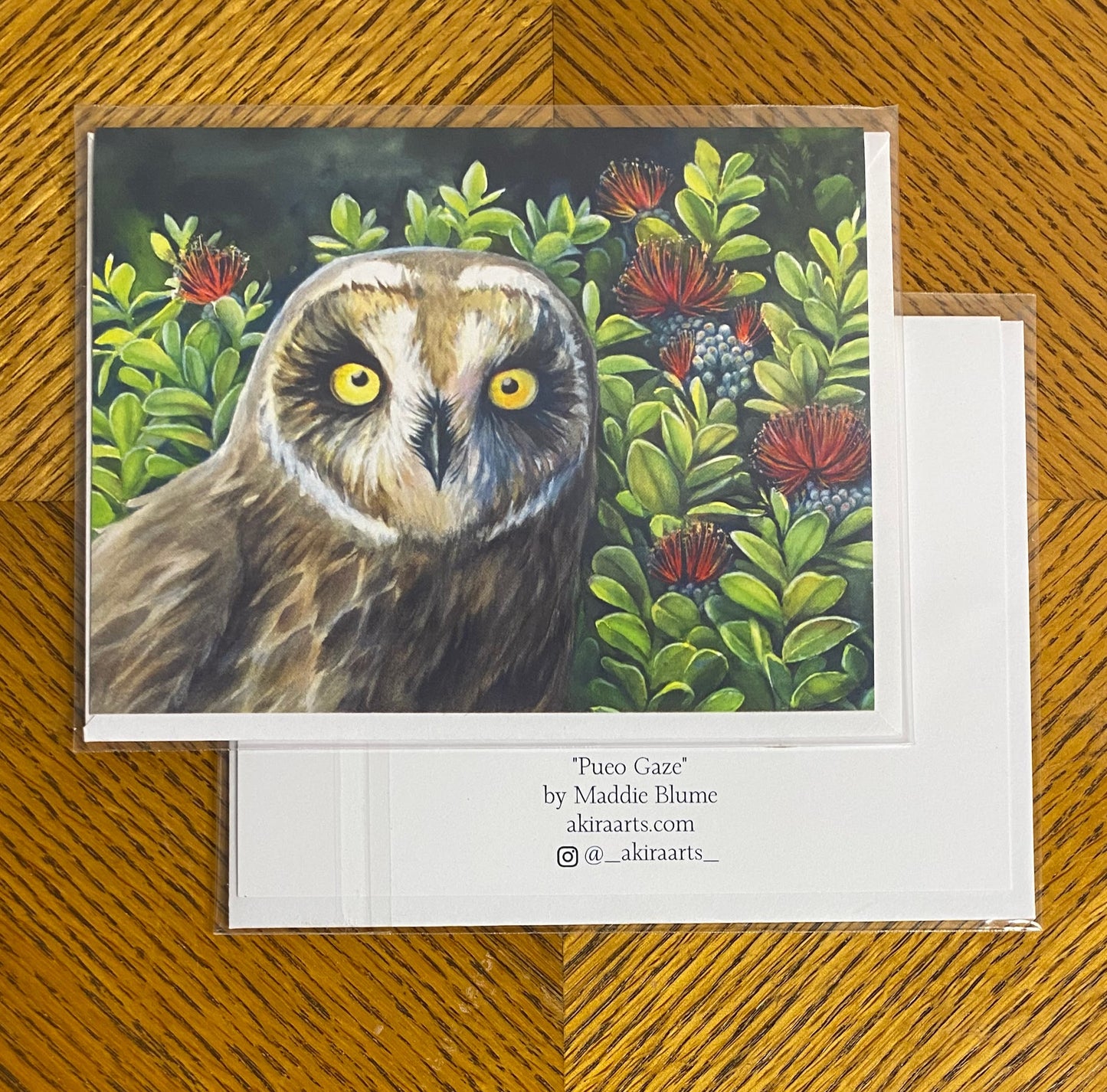 "Pueo Gaze" Note Card