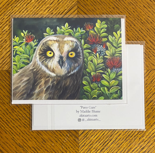 "Pueo Gaze" Note Card