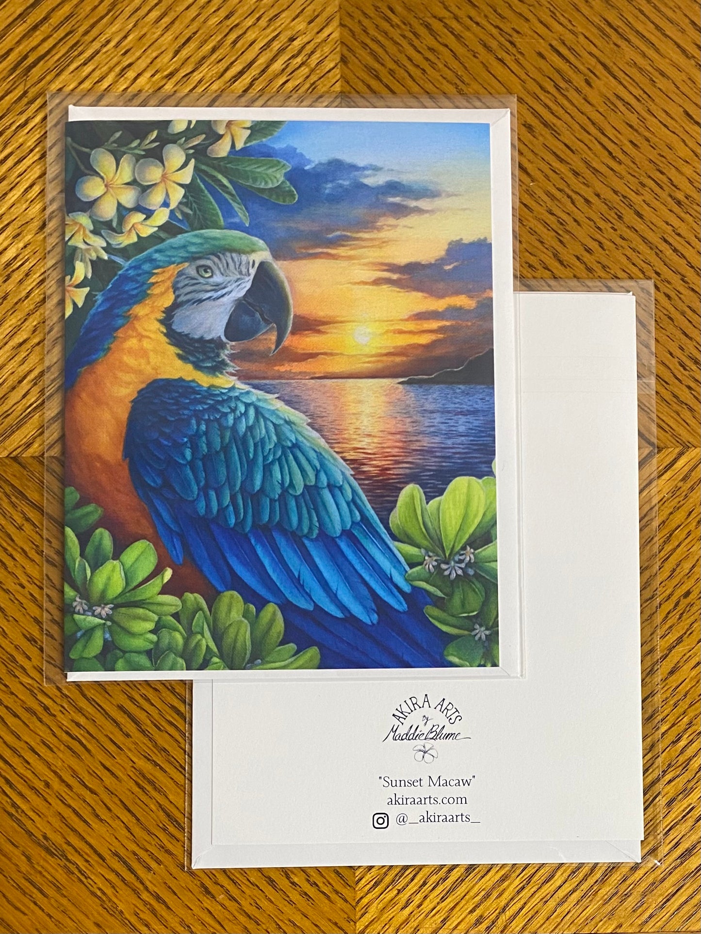 "Sunset Macaw" Note Card