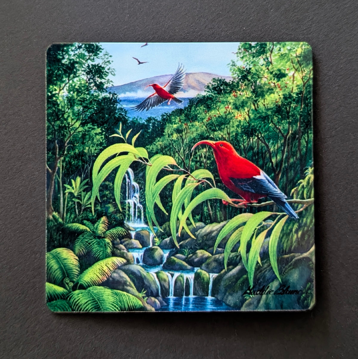 "Home of the Wild 'I'iwi" Magnet